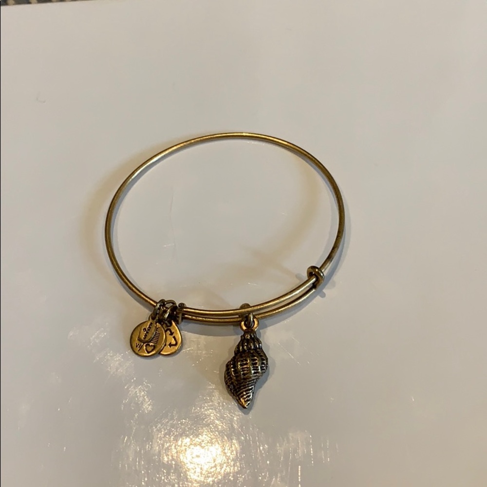 Alex&Ani bracelet